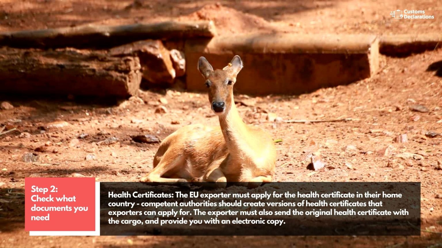 A quick guide to importing live animals and germinal products from the