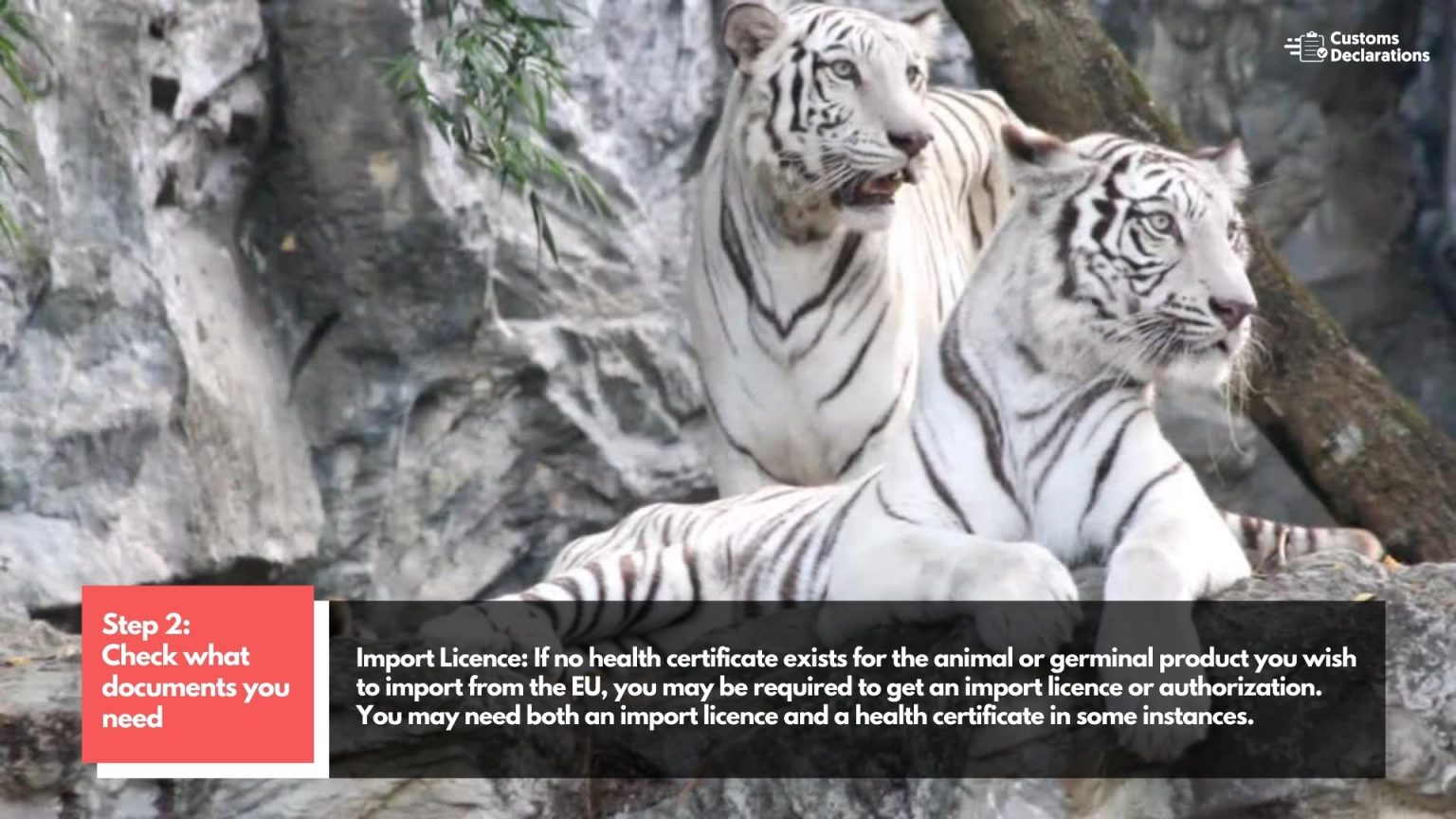 A quick guide to importing live animals and germinal products from the