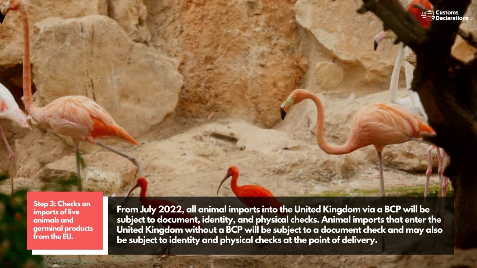 A quick guide to importing live animals and germinal products from the