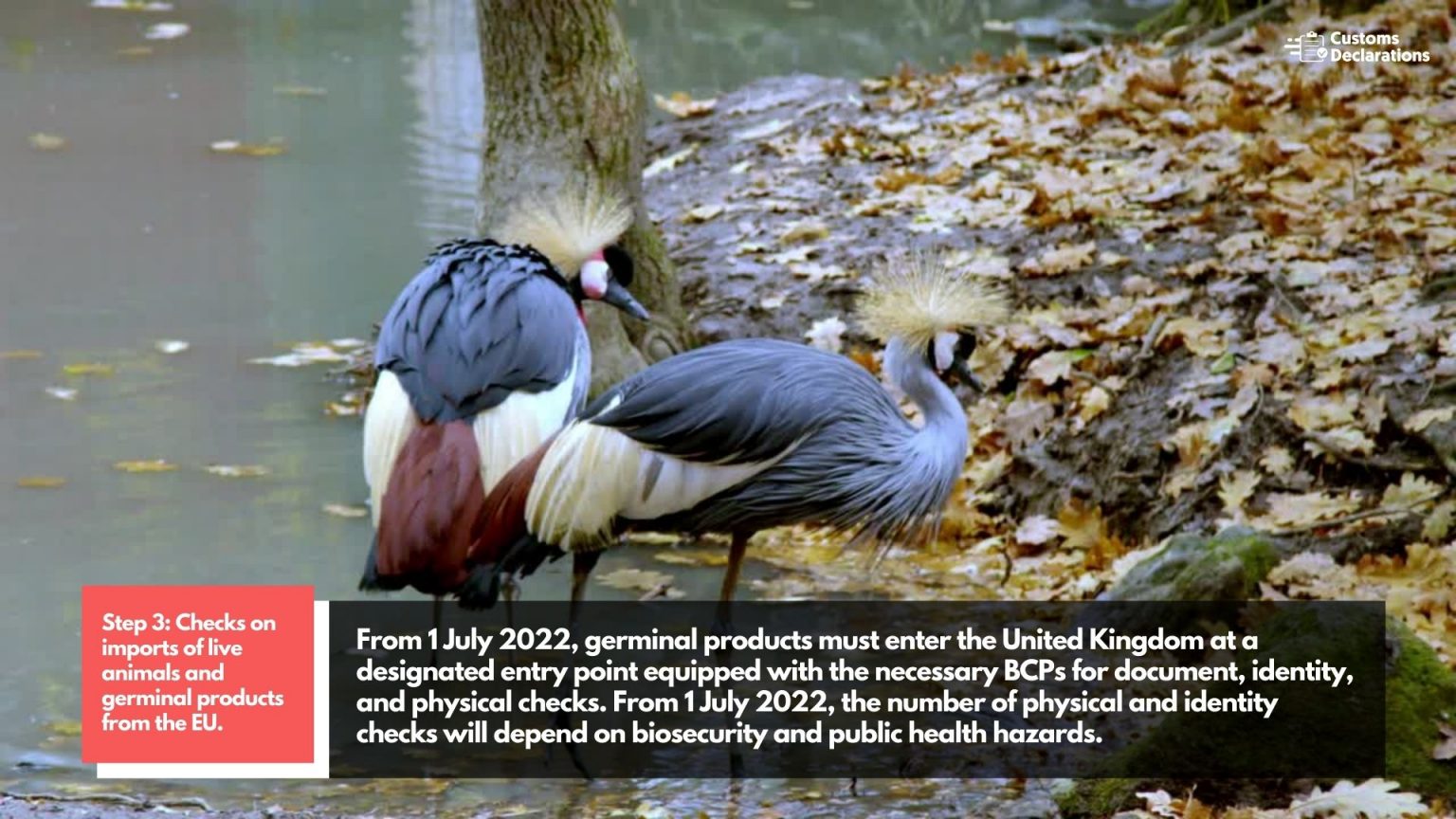 A quick guide to importing live animals and germinal products from the