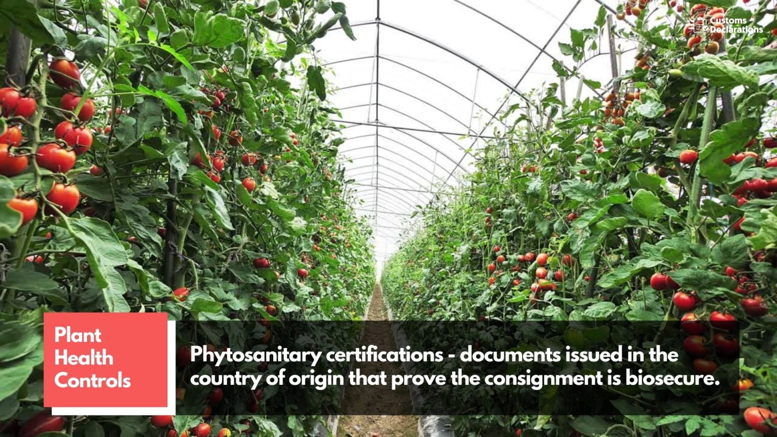 A quick guide to Importing plants and plant products from the E.U. to Great Britain Customs