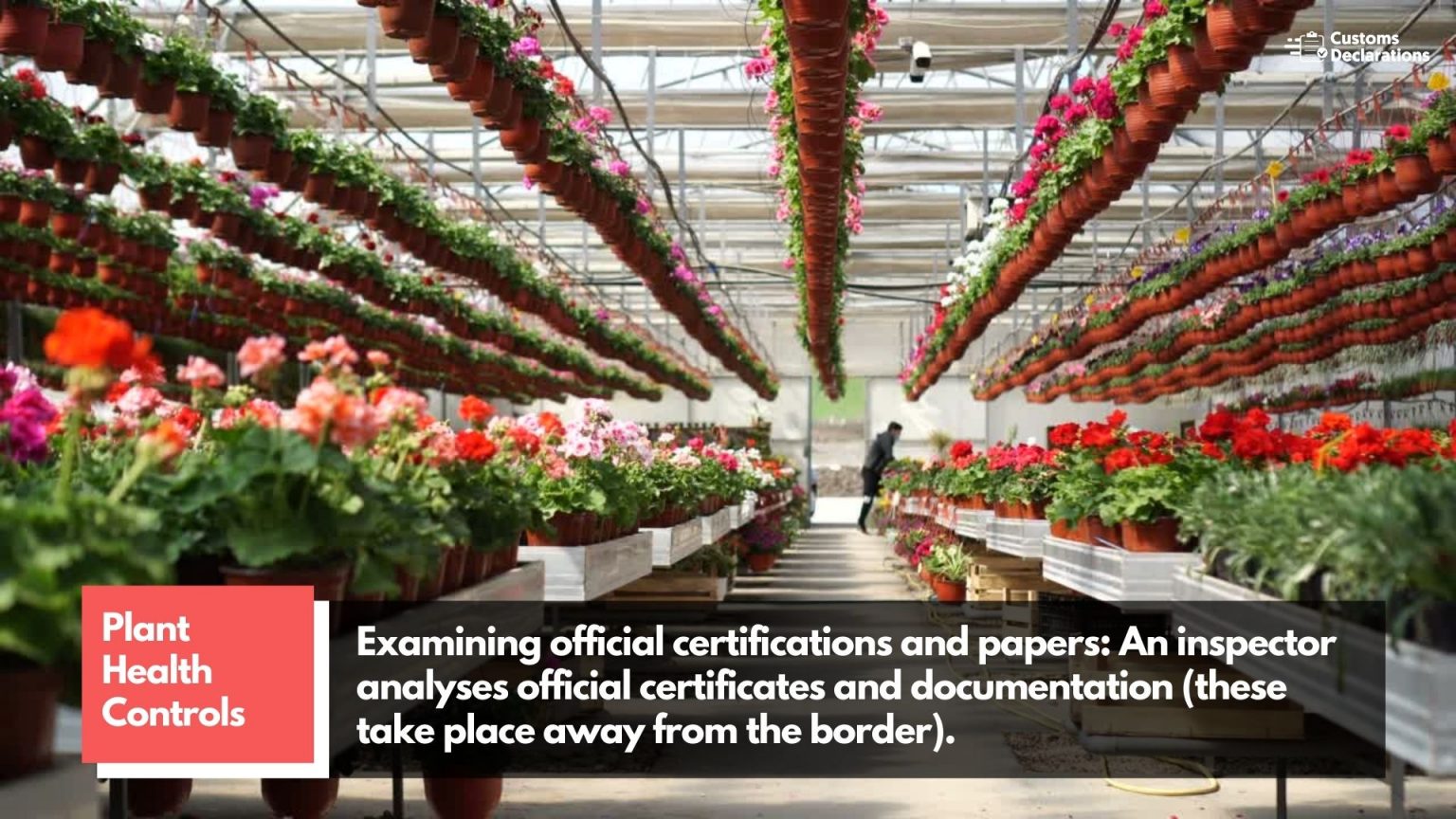 A quick guide to Importing plants and plant products from the E.U. to Great Britain Customs