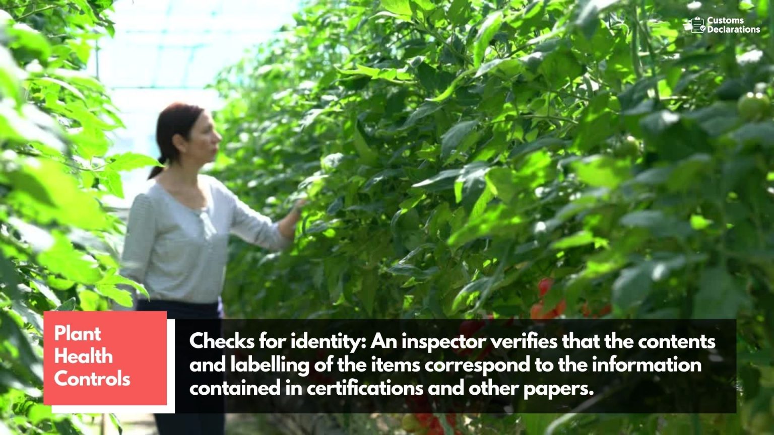 A quick guide to Importing plants and plant products from the E.U. to Great Britain Customs