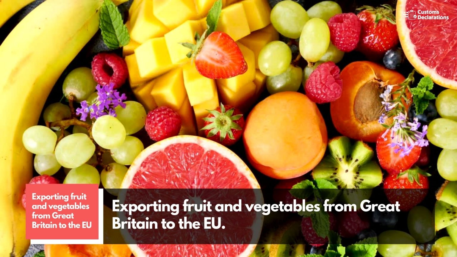 A Quick Guide to Importing and Exporting Fresh Fruit and Vegetables to